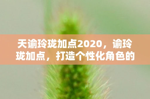 天谕玲珑加点2020，谕玲珑加点，打造个性化角色的关键