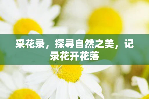采花录，探寻自然之美，记录花开花落