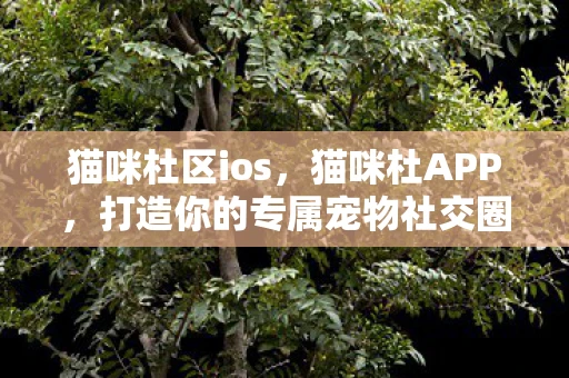 猫咪杜区ios，猫咪杜APP，打造你的专属宠物社交圈