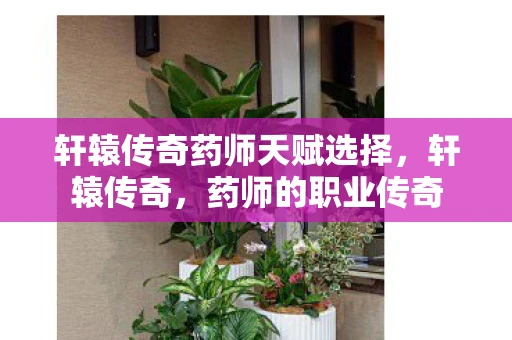 轩辕传奇药师天赋选择，轩辕传奇，药师的职业传奇