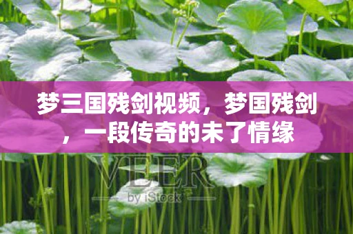 梦三国残剑视频，梦国残剑，一段传奇的未了情缘