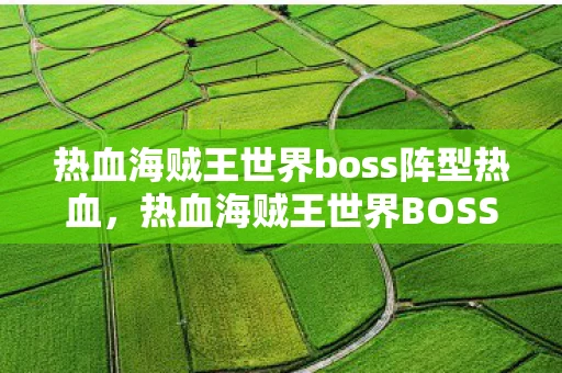 热血海贼王世界boss阵型热血，热血海贼王世界BOSS阵型攻略