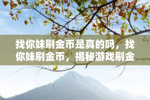 找你妹刷金币是真的吗，找你妹刷金币，揭秘游戏刷金币的灰色产业链