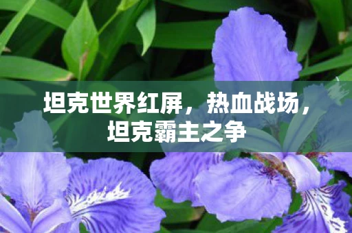 坦克世界红屏图片