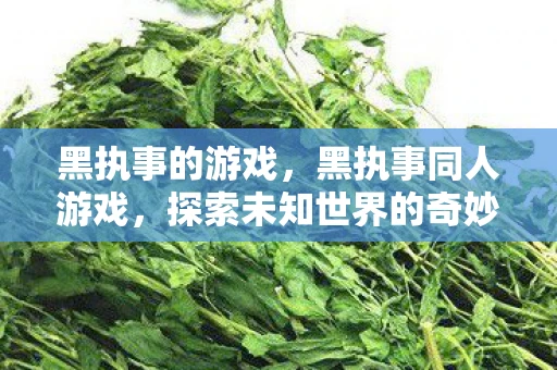 黑执事的游戏，黑执事同人游戏，探索未知世界的奇妙之旅
