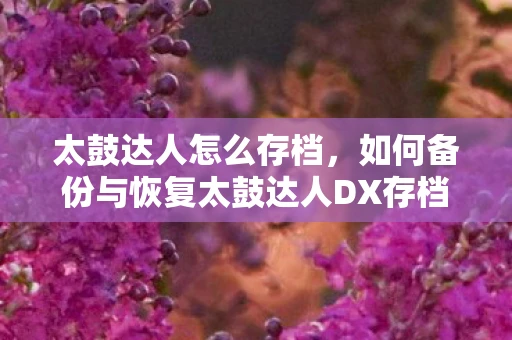 太鼓达人怎么存档,如何备份与恢复太鼓达人DX存档? 太鼓达人怎么存档,如何备份与恢复太鼓达人DX存档?