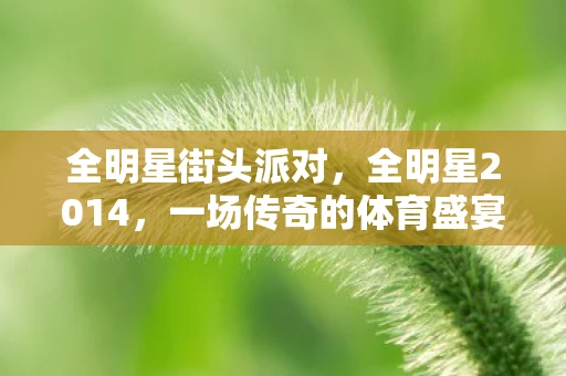 全明星街头派对，全明星2014，一场传奇的体育盛宴