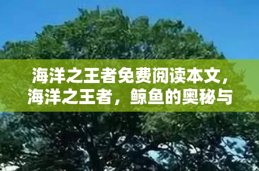 海洋之王者免费阅读本文，海洋之王者，鲸鱼的奥秘与保护