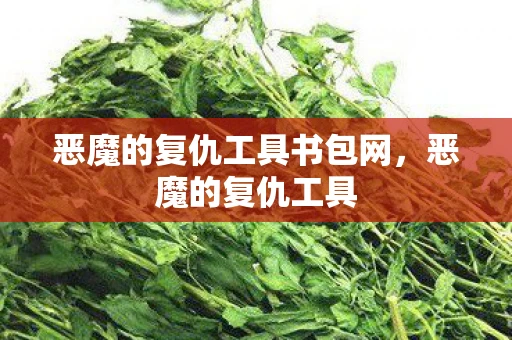 恶魔的复仇工具书包网,恶魔的复仇工具 恶魔的复仇工具书包网,恶魔的复仇工具
