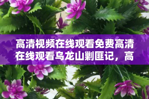 高清视频在线观看免费高清在线观看乌龙山剿匪记，高清，重塑视觉体验的新篇章