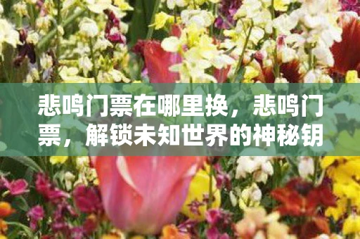 悲鸣门票在哪里换，悲鸣门票，解锁未知世界的神秘钥匙