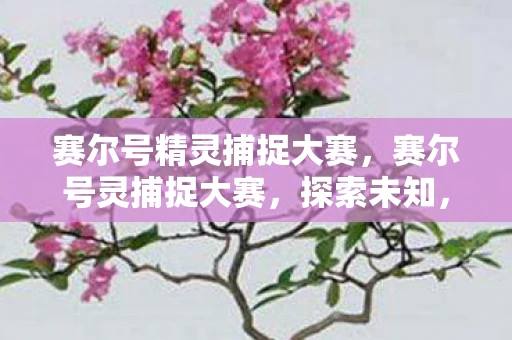 赛尔号精灵捕捉大赛，赛尔号灵捕捉大赛，探索未知，挑战极限