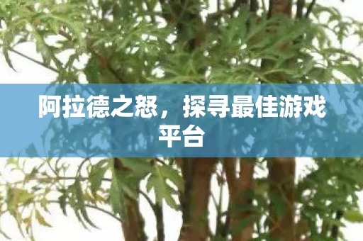 探寻最佳游戏平台图片