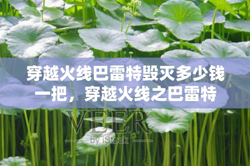 穿越火线巴雷特毁灭多少钱一把,穿越火线之巴雷特 穿越火线巴雷特毁灭多少钱一把,穿越火线之巴雷特