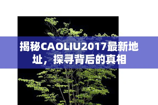 揭秘CAOLIU2017最新地址，探寻背后的真相