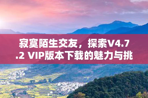 2 VIP版本下载的魅力与挑战图片