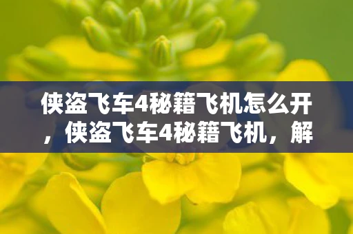 侠盗飞车4秘籍飞机怎么开，侠盗飞车4秘籍飞机，解锁飞行乐趣的秘籍