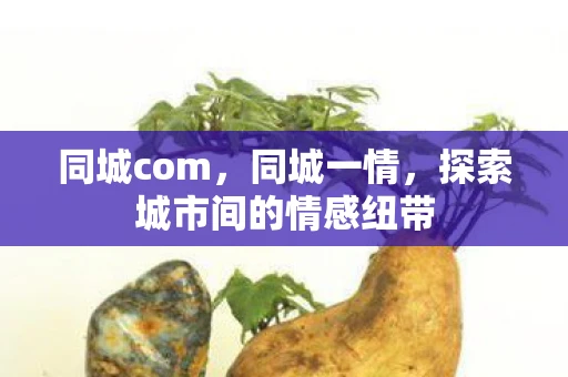 同城com,同城一情,探索城市间的情感纽带 同城com,同城一情,探索城市间的情感纽带