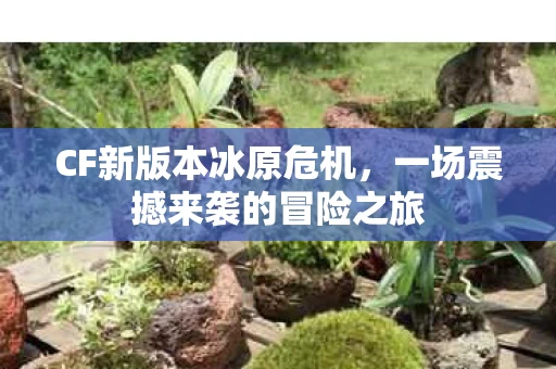 一场震撼来袭的冒险之旅图片