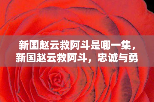 新国赵云救阿斗是哪一集,新国赵云救阿斗,忠诚与勇气的传奇 新国赵云救阿斗是哪一集,新国赵云救阿斗,忠诚与勇气的传奇