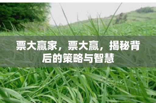 票大赢家,票大赢,揭秘背后的策略与智慧 票大赢家,票大赢,揭秘背后的策略与智慧