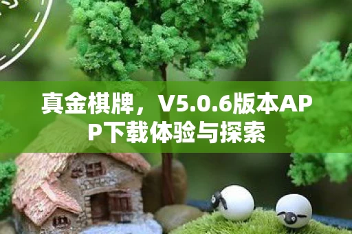 6版本APP下载体验与探索图片