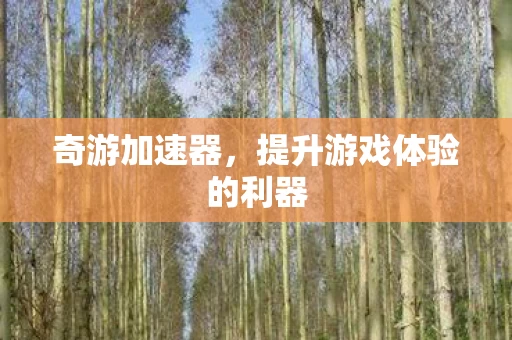 提升游戏体验的利器图片