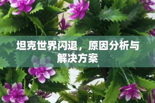 坦克世界闪退，原因分析与解决方案