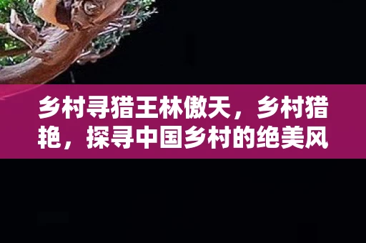 乡村寻猎王林傲天，乡村猎艳，探寻中国乡村的绝美风光与独特魅力