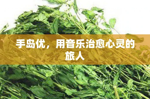手岛优，用音乐治愈心灵的旅人