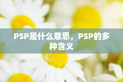 PSP是什么意思，PSP的多种含义