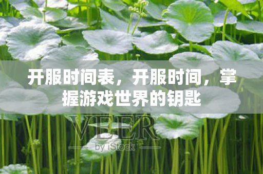 开服时间表，开服时间，掌握游戏世界的钥匙