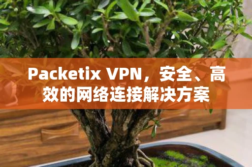 Packetix VPN，安全、高效的网络连接解决方案