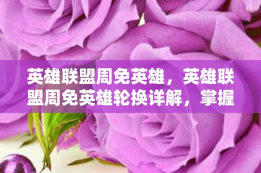 英雄联盟周免英雄，英雄联盟周免英雄轮换详解，掌握免费英雄，提升游戏胜率