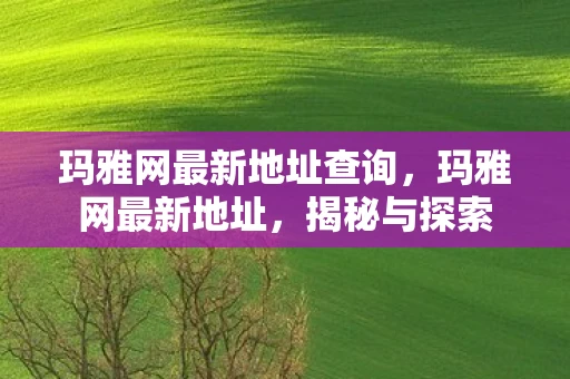 玛雅网最新地址查询，玛雅网最新地址，揭秘与探索