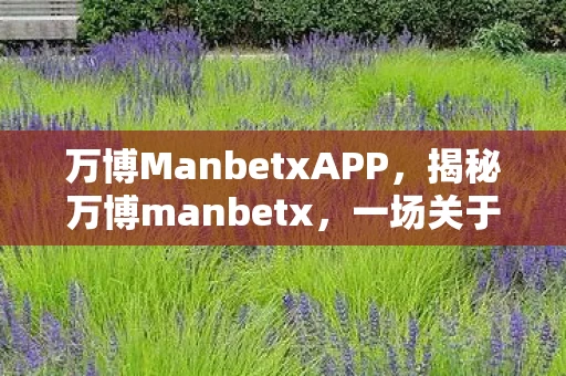 万博ManbetxAPP,揭秘万博manbetx,一场关于数字娱乐的盛宴 万博ManbetxAPP,揭秘万博manbetx,一场关于数字娱乐的盛宴
