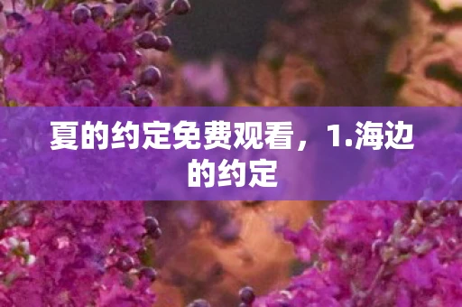 夏的约定免费观看，1.海边的约定