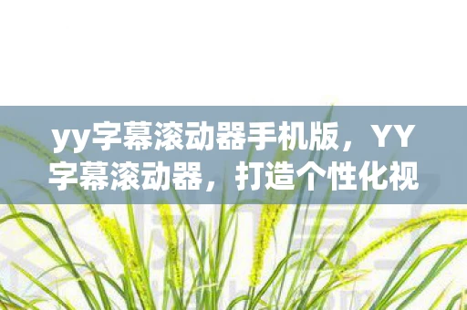 yy字幕滚动器手机版，YY字幕滚动器，打造个性化视频体验的神器