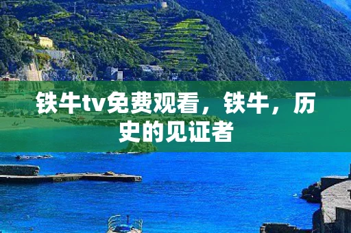 铁牛tv免费观看，铁牛，历史的见证者