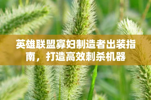 英雄联盟寡妇制造者出装指南，打造高效刺杀机器