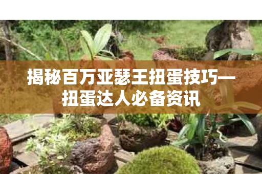 揭秘百万亚瑟王扭蛋技巧图片