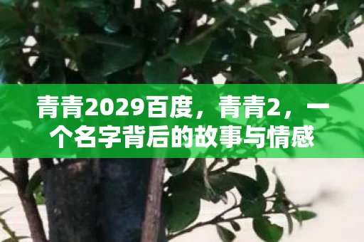 青青2029百度,青青2,一个名字背后的故事与情感 青青2029百度,青青2,一个名字背后的故事与情感