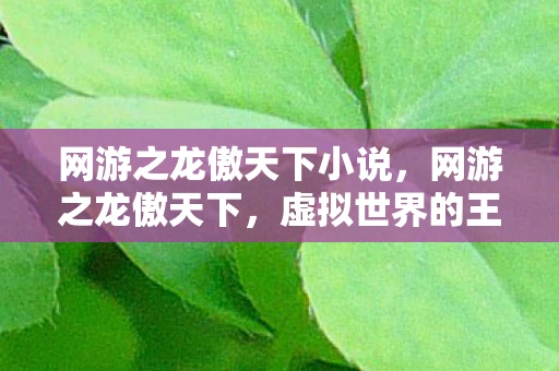 网游之龙傲天下小说,网游之龙傲天下,虚拟世界的王者之路 网游之龙傲天下小说,网游之龙傲天下,虚拟世界的王者之路
