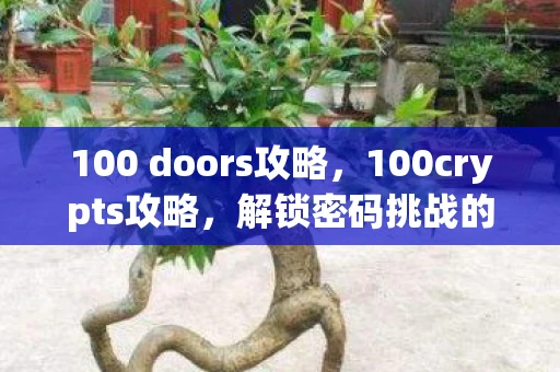 100 doors攻略,100crypts攻略,解锁密码挑战的乐趣与技巧 100 doors攻略,100crypts攻略,解锁密码挑战的乐趣与技巧