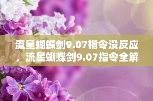 流星蝴蝶剑9.07指令没反应，流星蝴蝶剑9.07指令全解析