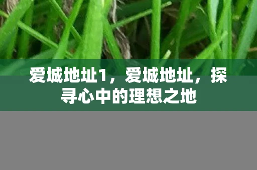 爱城地址1，爱城地址，探寻心中的理想之地