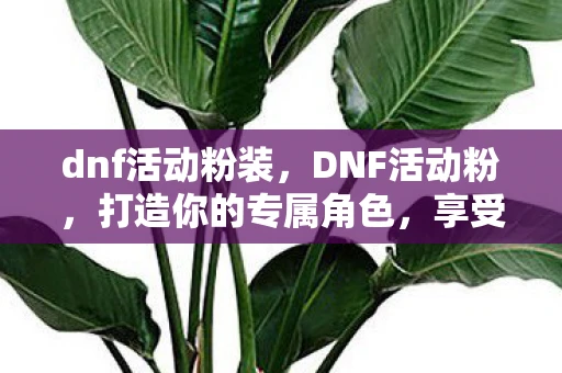 dnf活动粉装，DNF活动粉，打造你的专属角色，享受无限乐趣