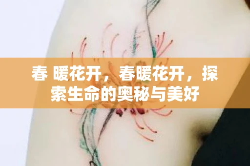 春 暖花开，春暖花开，探索生命的奥秘与美好