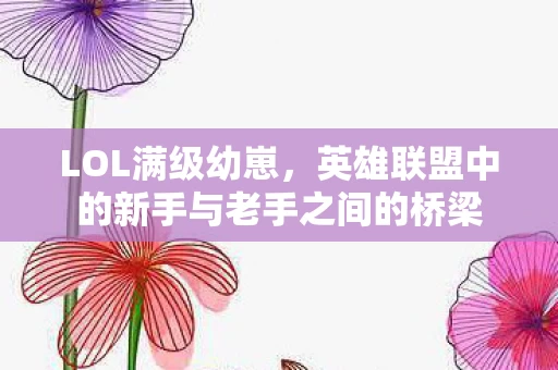 英雄联盟中的新手与老手之间的桥梁图片