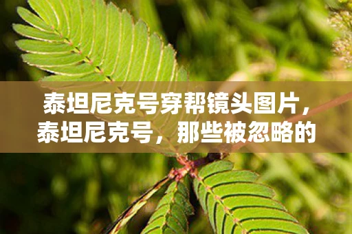 泰坦尼克号穿帮镜头图片，泰坦尼克号，那些被忽略的穿帮镜头